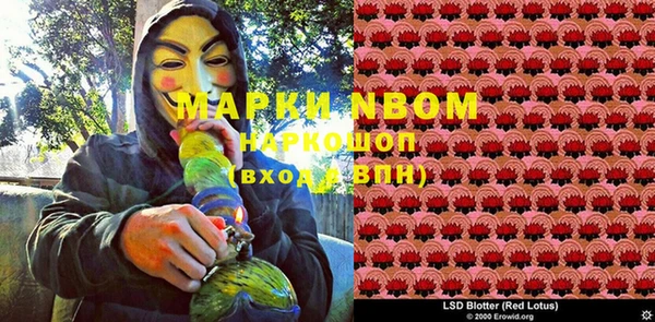 хмурый Алзамай
