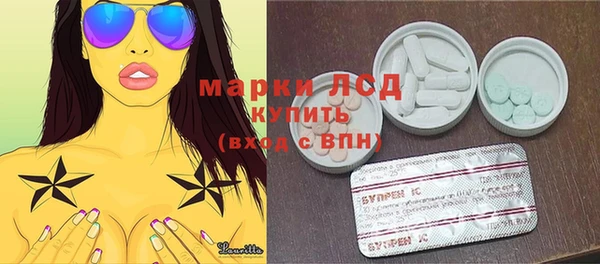 хмурый Алзамай