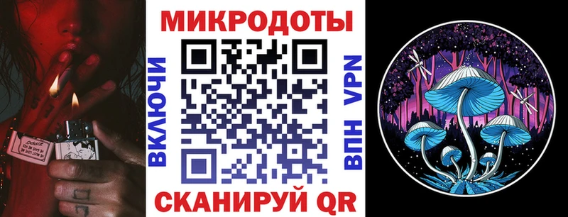 Псилоцибиновые грибы Psilocybe  мега маркетплейс  Железноводск 